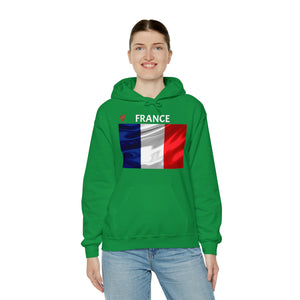 Travel File ~ France Flag