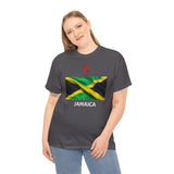 Travel File ~ Jamaica Flag