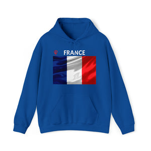 Travel File ~ France Flag