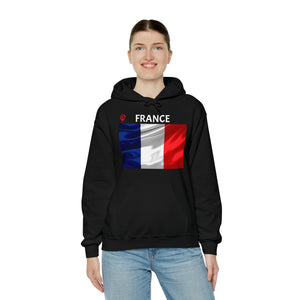 Travel File ~ France Flag