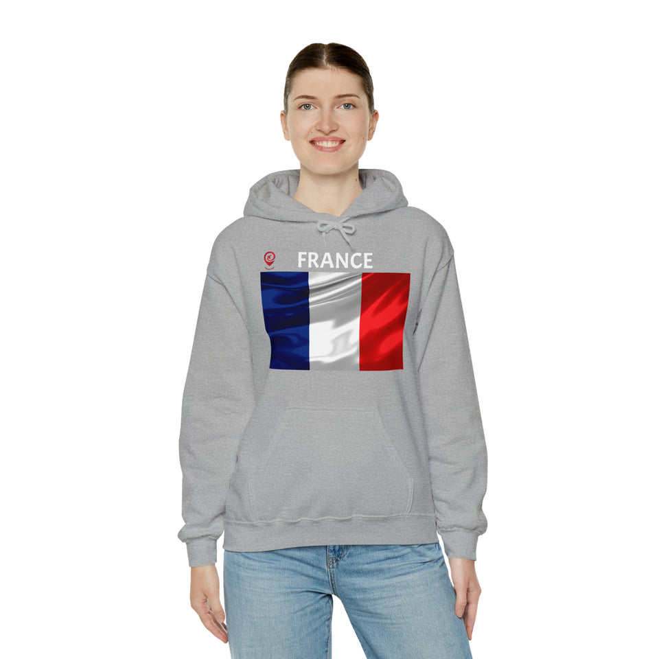 Travel File ~ France Flag