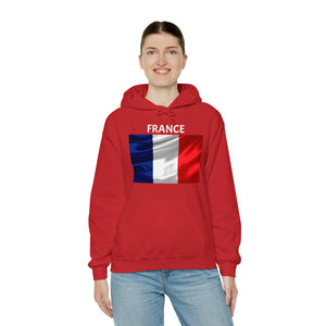 Travel File ~ France Flag